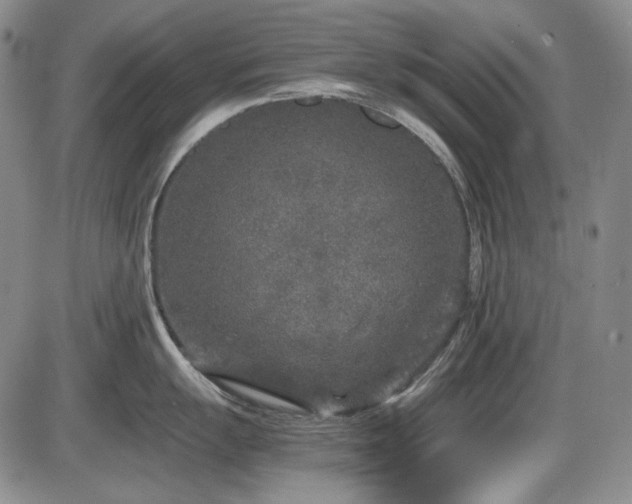 X0000086281055200703291456