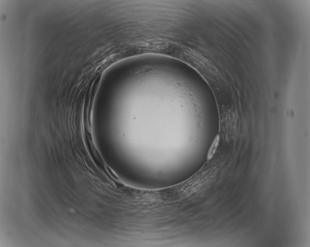 X0000086281058200703291455