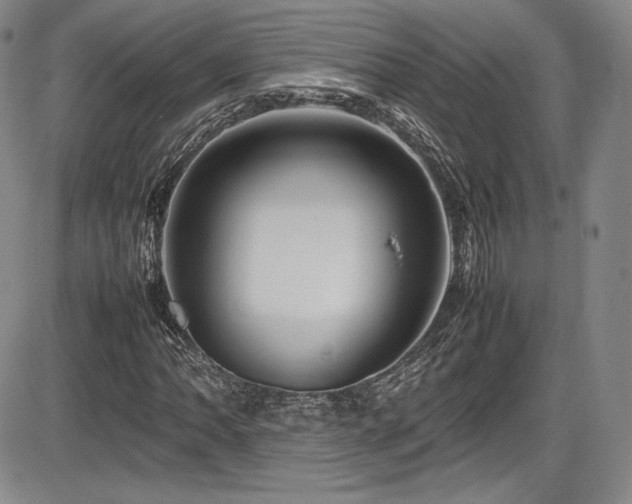 X0000086281062200703291455
