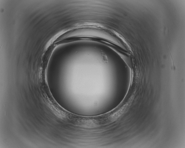 X0000086281066200703291455