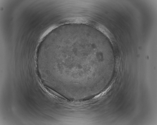 X0000086281071200703291455