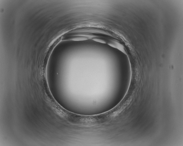 X0000086281073200703291455