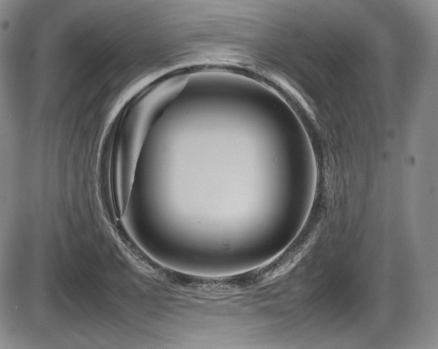 X0000086281077200703291455