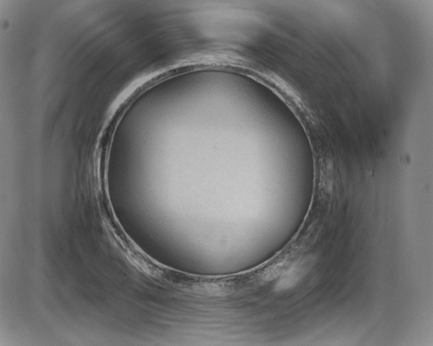 X0000086281078200703291455