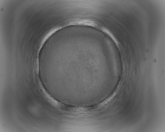 X0000086281079200703291455