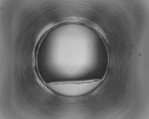 X0000086281080200703291455