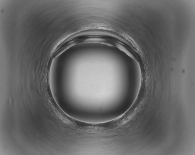 X0000086281081200703291455