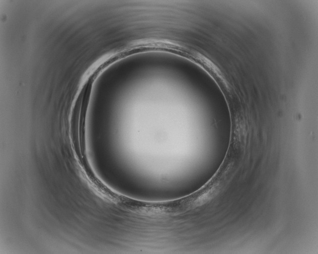 X0000086281082200703291455