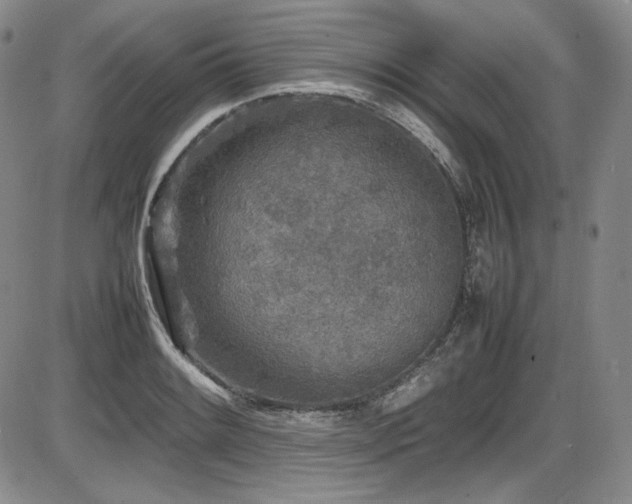 X0000086281084200703291455