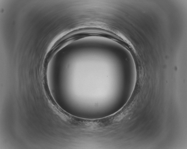 X0000086281085200703291455