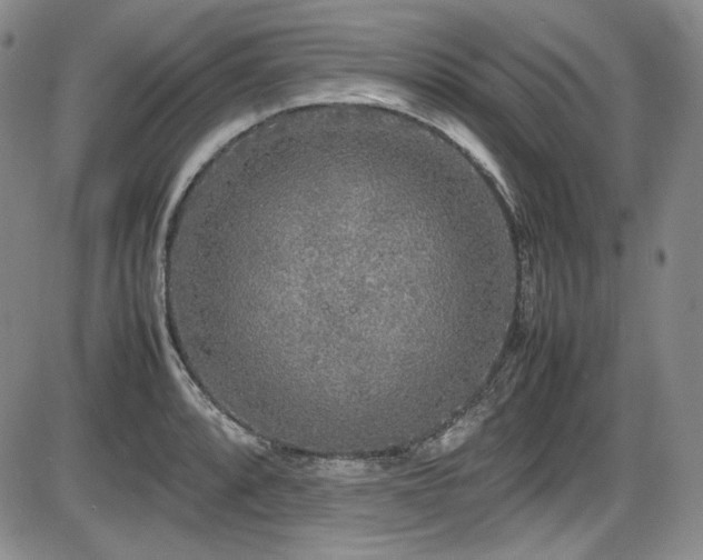 X0000086281088200703291455