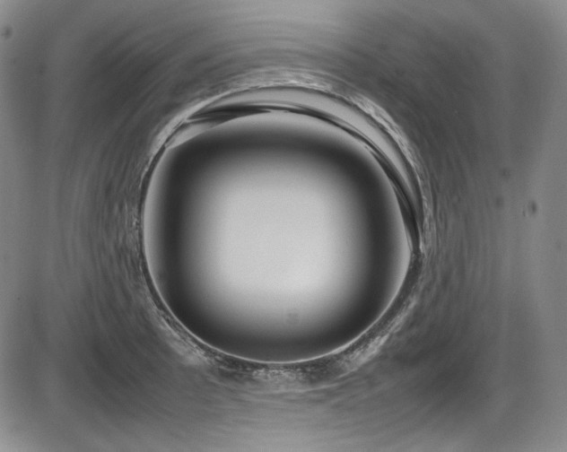 X0000086281089200703291455
