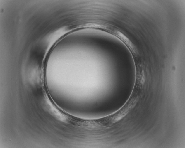 X0000086281092200703291455