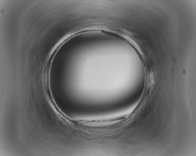 X0000086281101200703291455