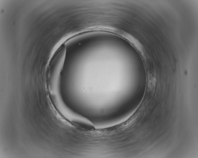 X0000086281102200703291455