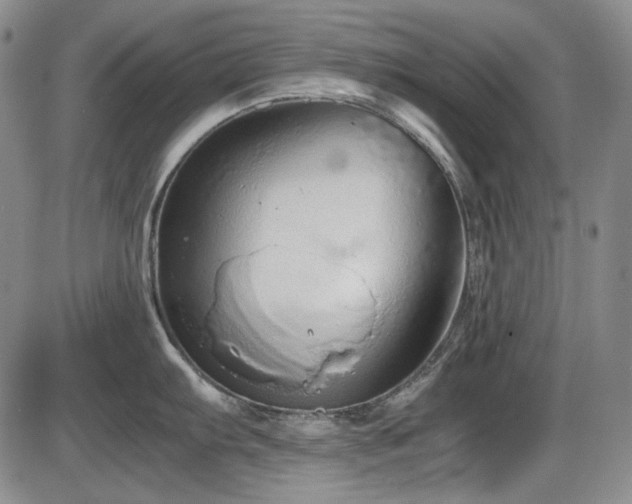 X0000086281103200703291455