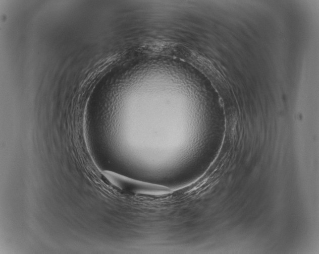 X0000086281105200703291454