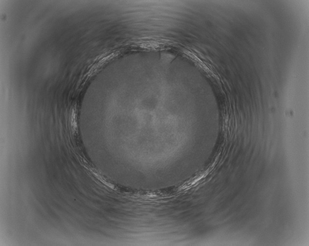 X0000086281106200703291454