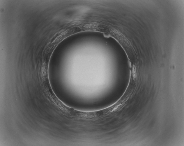 X0000086281107200703291454