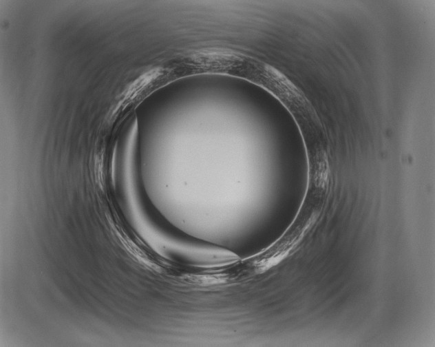 X0000086281108200703291454