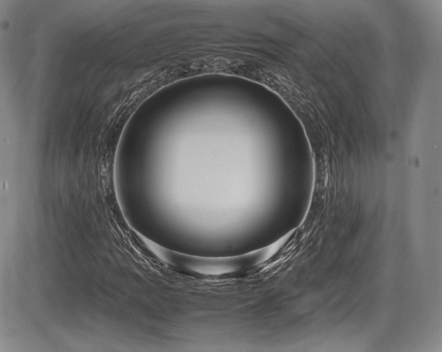 X0000086281109200703291454