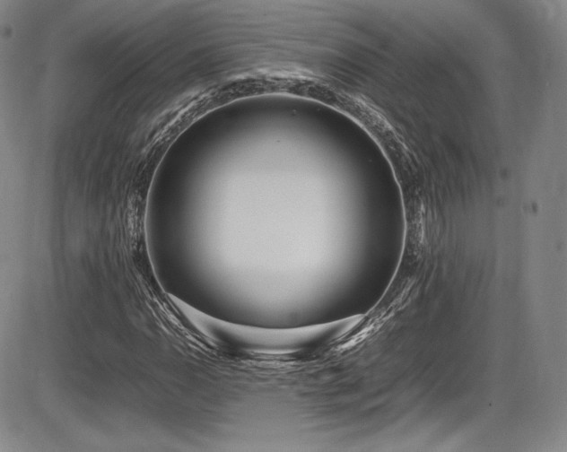 X0000086281110200703291454