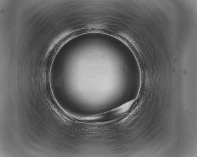 X0000086281115200703291454