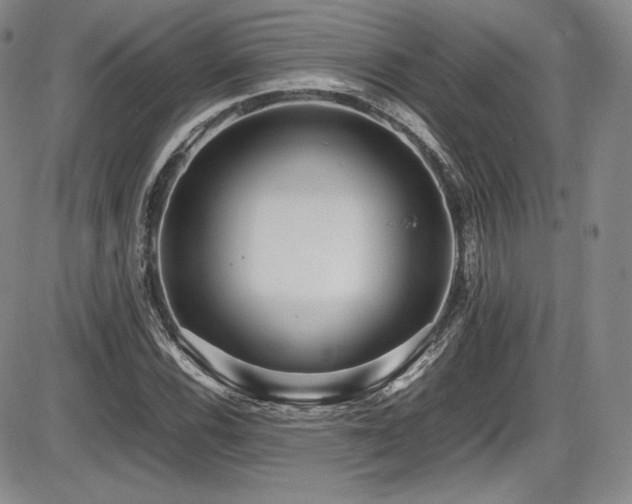 X0000086281116200703291454