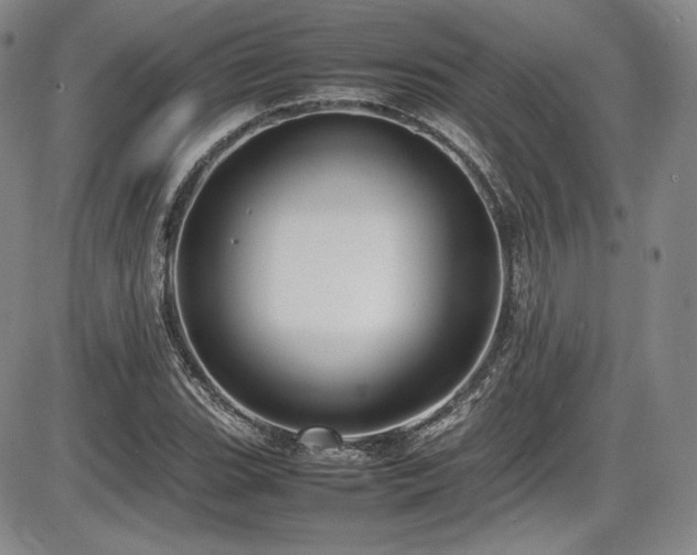 X0000086281119200703291454