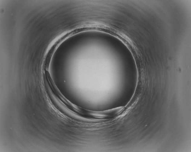 X0000086281120200703291454