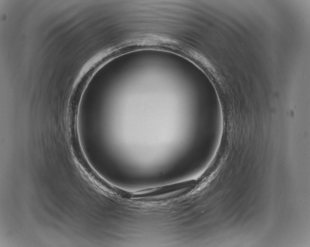 X0000086281122200703291454