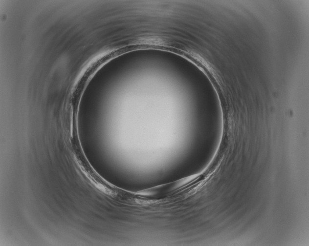X0000086281123200703291454