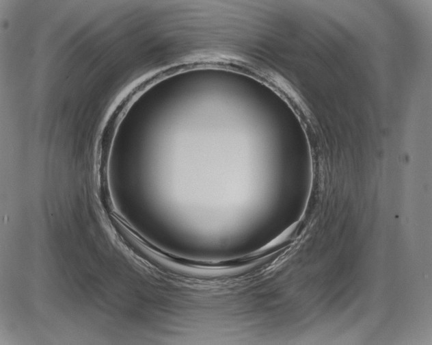 X0000086281124200703291454