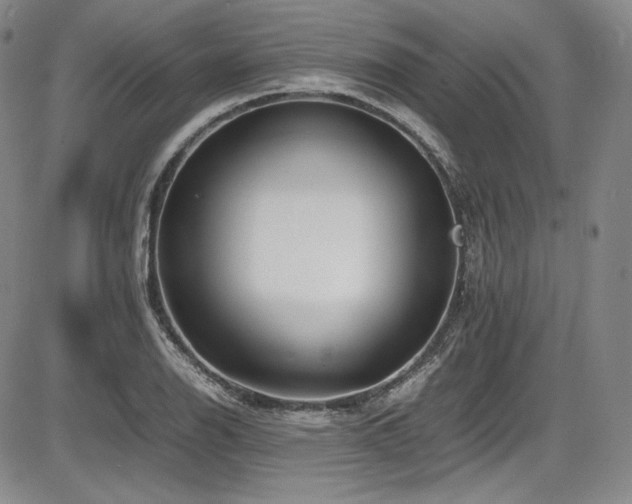X0000086281126200703291454