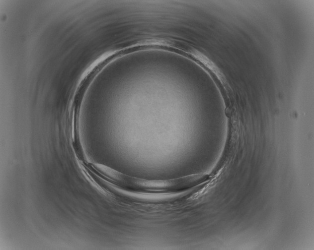 X0000086281127200703291454