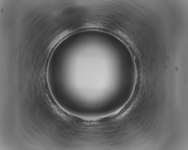 X0000086281129200703291454