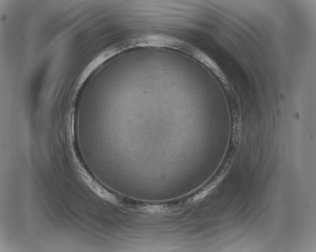 X0000086281130200703291454