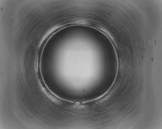 X0000086281131200703291454