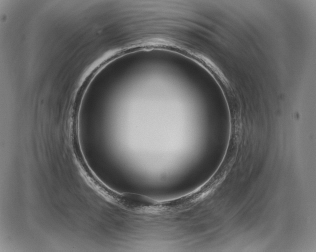 X0000086281134200703291454