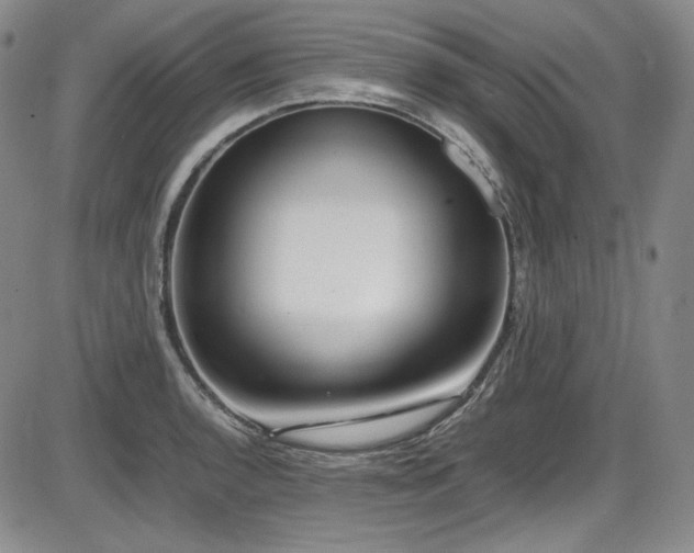 X0000086281136200703291454