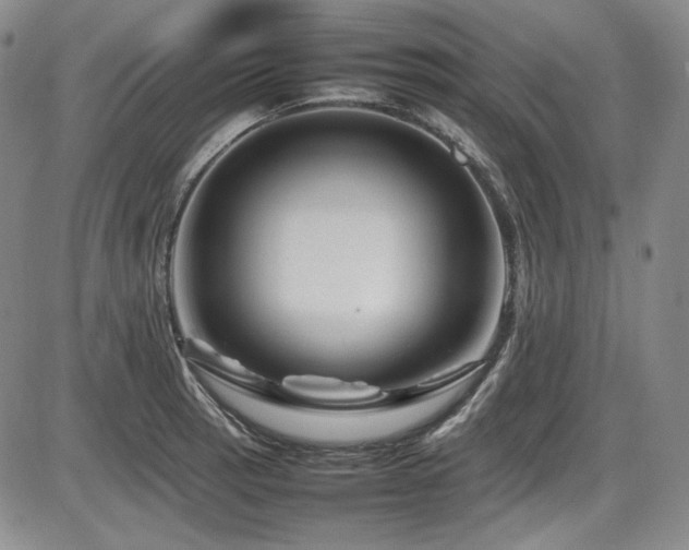 X0000086281137200703291454