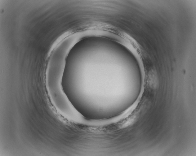 X0000086281138200703291454