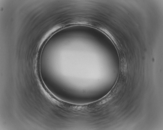 X0000086281139200703291454