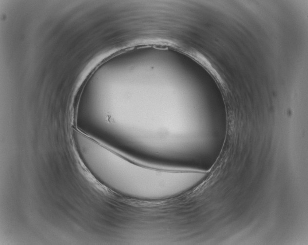 X0000086281140200703291454