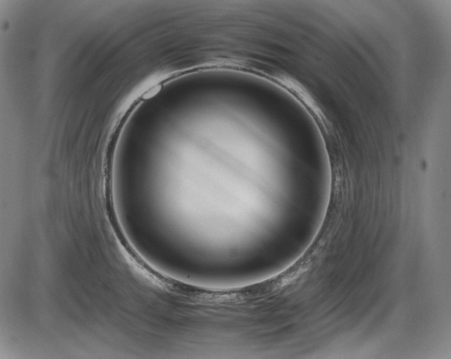 X0000086281143200703291454