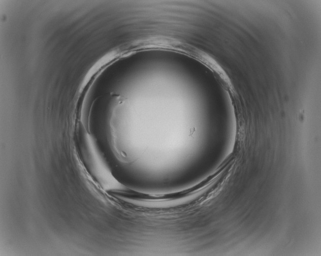 X0000086281146200703291454