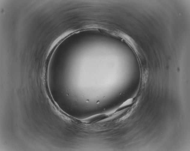 X0000086281149200703291455