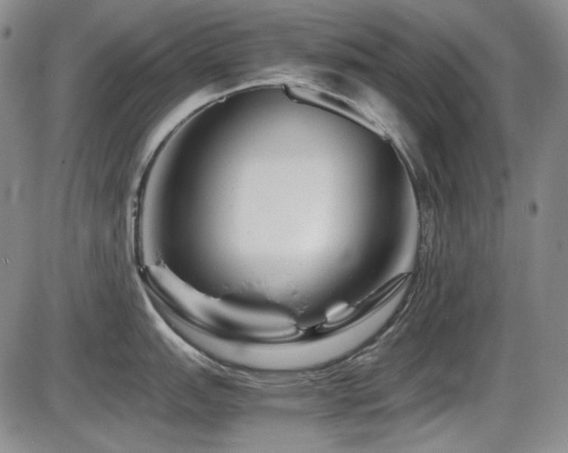 X0000086281151200703291455