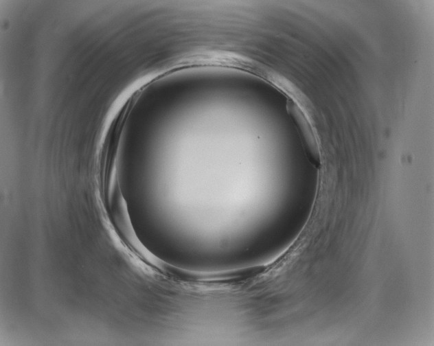 X0000086281152200703291455