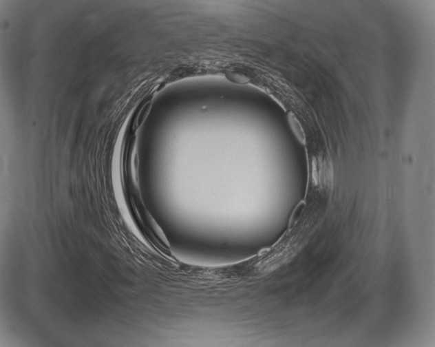 X0000086281155200703291454